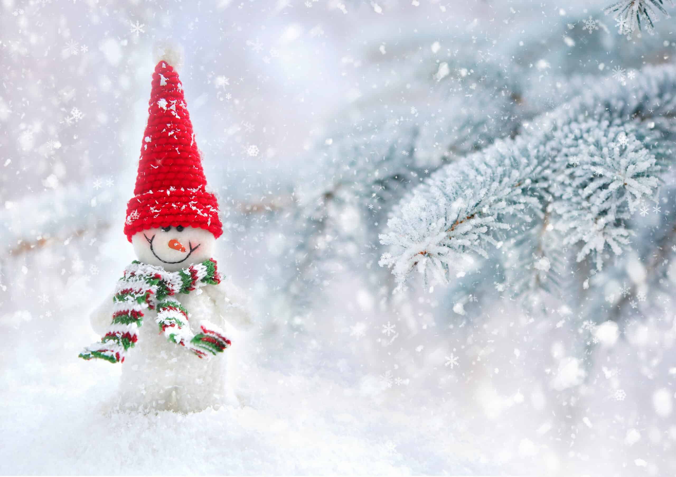 snowman in snowy weather